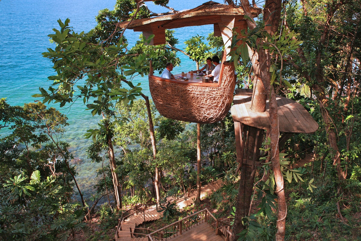 The Treepod Dining experience is your chance to dine in the jungle canopy 
